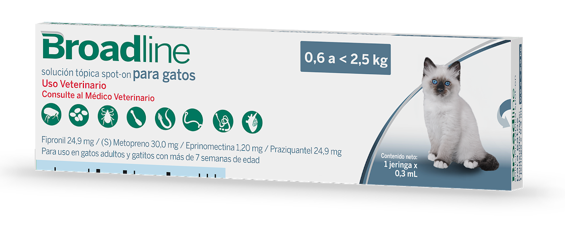 BROADLINE CAT SMALL 1 SYR (0,6-2,5 K