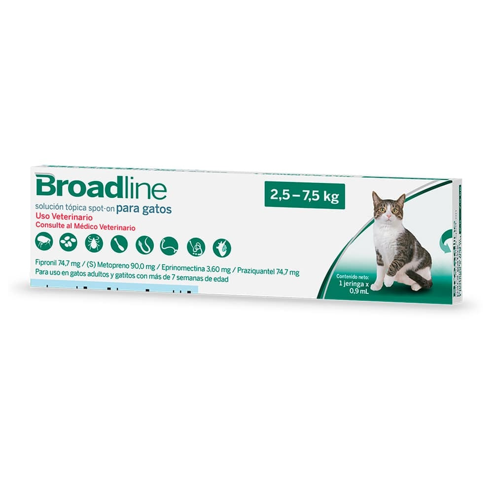 BROADLINE CAT LARGE 1 SYR (2,5-7,5 K