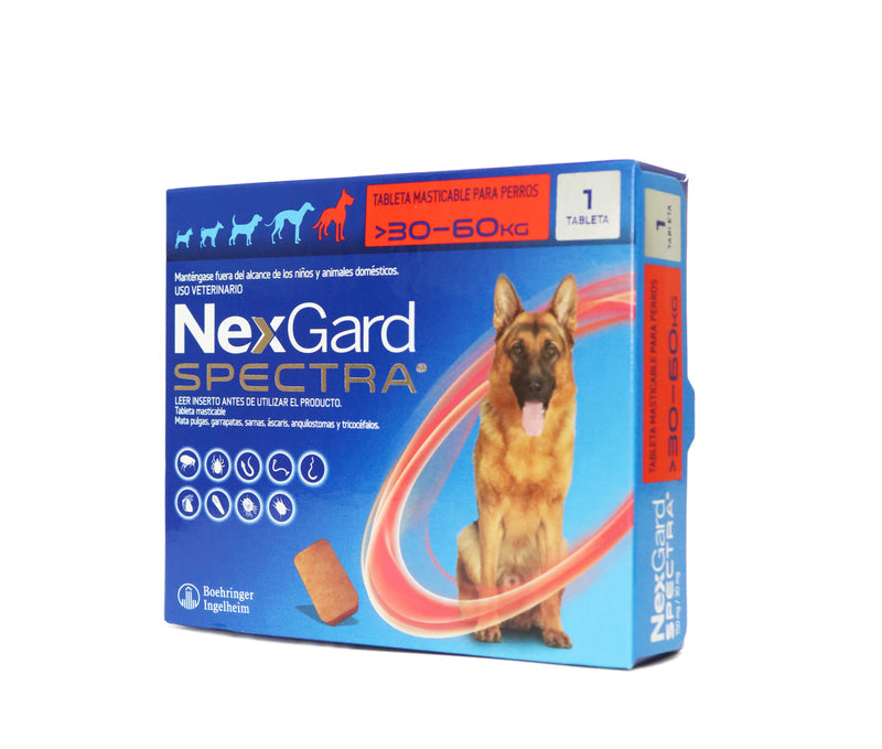 NEXGARD SPECTRA XL 30 - 60 KG X 1 T