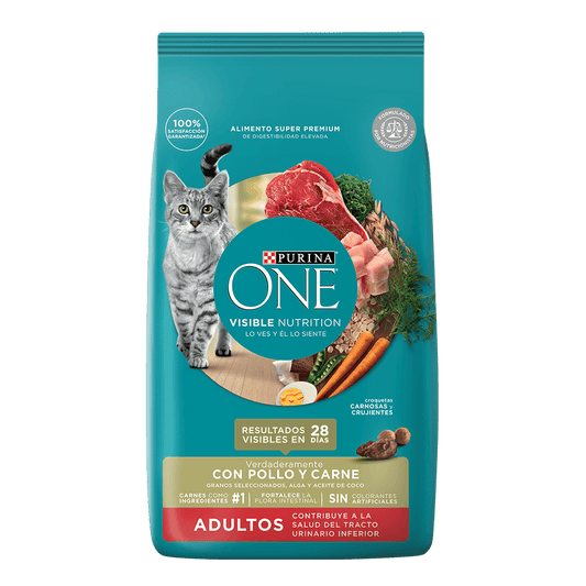 ONE GATO ADULTO POLLO Y CARNE 500 GR