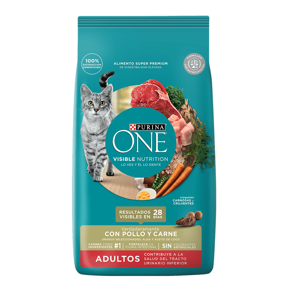 ONE GATO ADULTO POLLO Y CARNE 2 KG