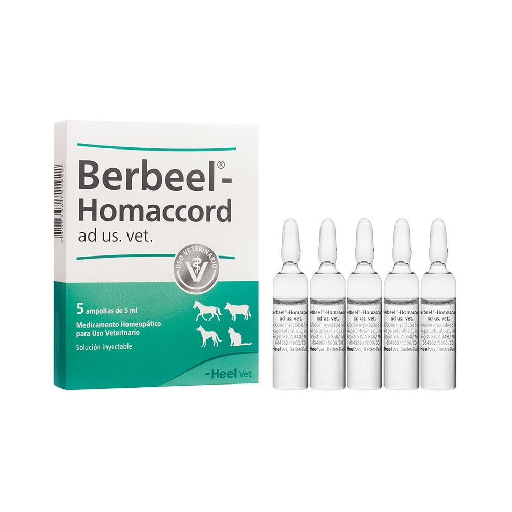 BERBEEL HOMACCORD AD US VET X 5 AMPOLLAS