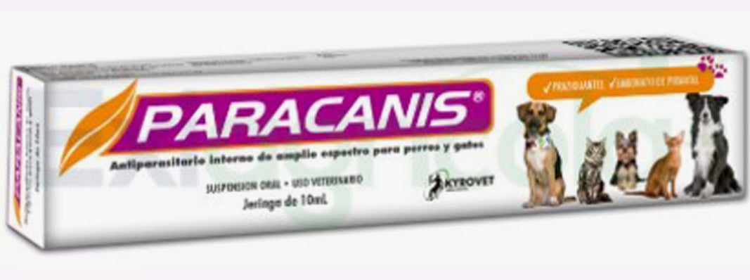 Paracanis adulto 10ml