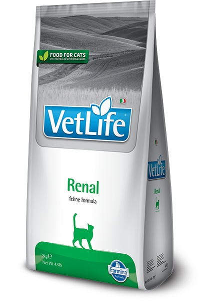 VET LIFE NATURAL DIET FELINO RENAL X 400 GR