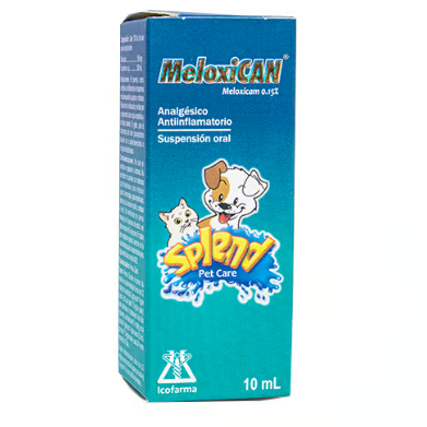 MELOXICAN SPLEND X 10 ML