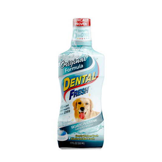 DENTAL FRESH ORIG DOG 17,3OZ