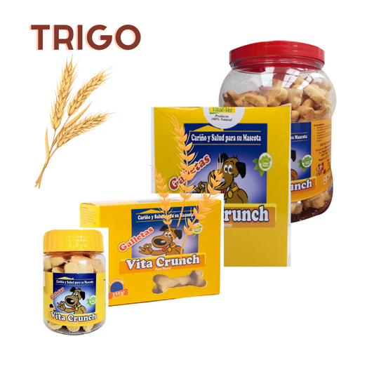 VITA CRUNCH GALLETAS DE TRIGO