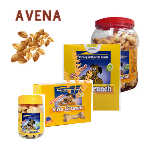 VITA CRUNCH GALLETAS AVENA