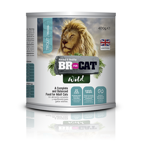 BR FOR CAT WILD (LATA) TRUCHA 400GR