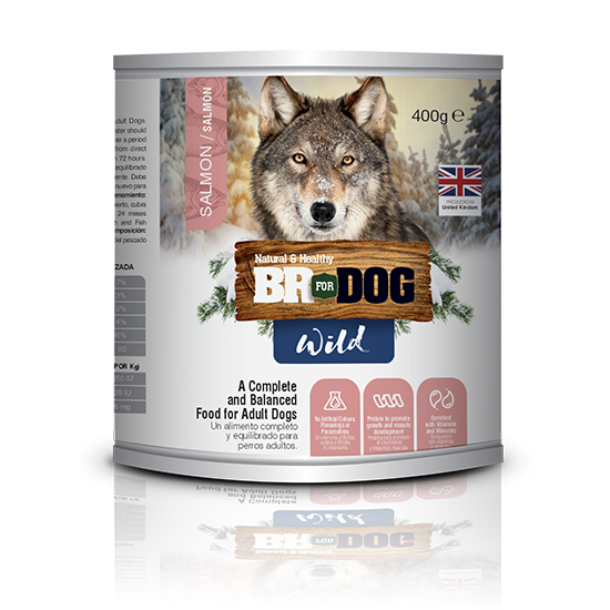 BR FOR DOG WILD (LATA) SALMON 400GR