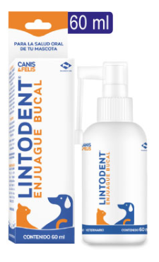 Lintodent Enjuague Bucal x 60 ml