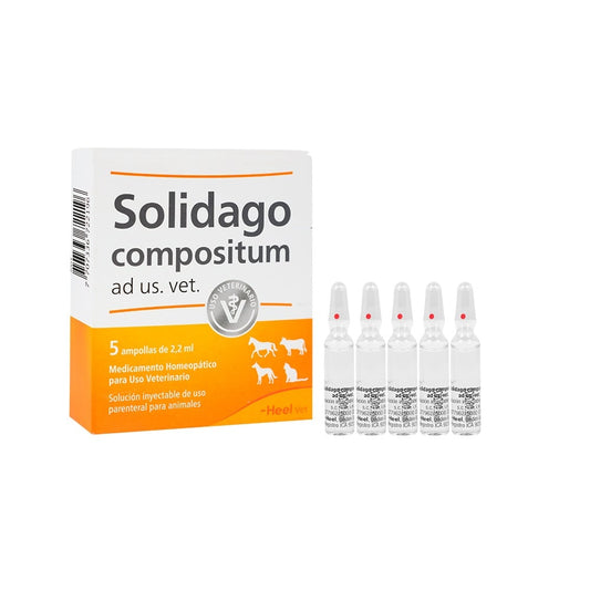 SOLIDAGO X 5 AMPOLLAS (2.2 ML)