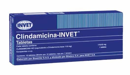 CLINDAMICINA INVET X 10 TABLETAS