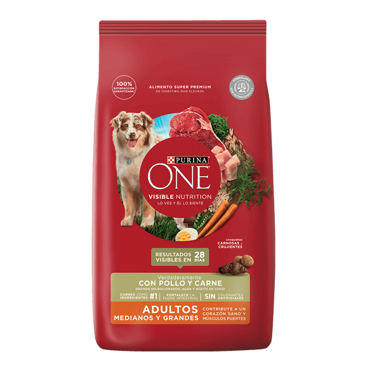 ONE PERROS ADULTOS MEDIANOS Y GRANDES POLLO Y CARNE 2 KG
