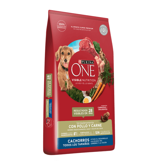 ONE CACHORROS TODOS LOS TAMAÑOS POLLO Y CARNE 2 KG