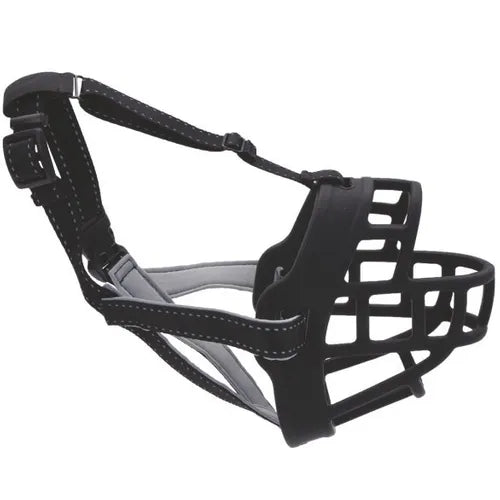 COASTAL PERRO BOZAL BASKET  TALLA 3