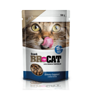 BR FOR CAT URINARY  SUPPORT X 100G