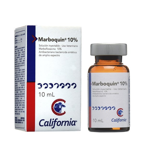 MARBOQUIN 10/100 X 10 ML