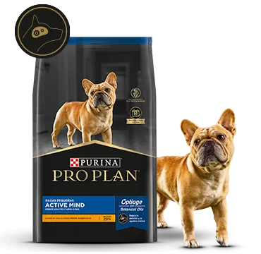 PRO PLAN ADULTO ACTIVE MIND RAZA PEQUEÑA 7,5 KG