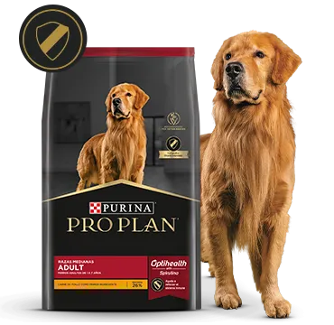 PRO PLAN ADULT RAZAS MEDIANAS 13KG