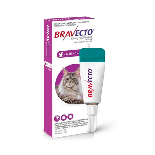 BRAVECTO SPOT ON CAT 500 MG (6,2-12,5 KG) X 1 DS