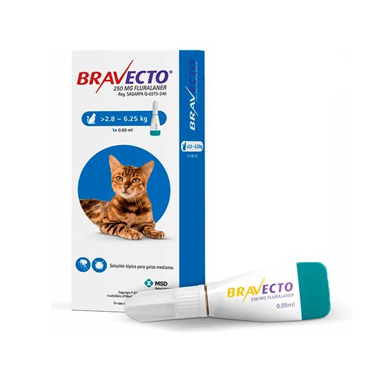 BRAVECTO SPOT ON CAT 250 MG (2,8-6,25 KG) X 1 DS