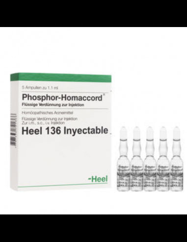 PHOSPHOR HOMACCORD X 5 AMPOLLAS