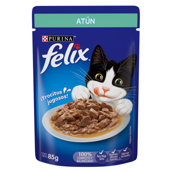 FELIX ATUN 85 GR