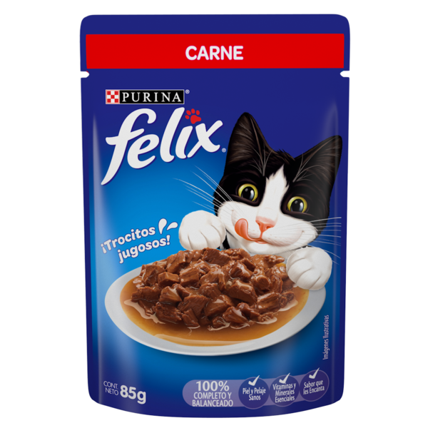 FELIX CARNE 85 GR