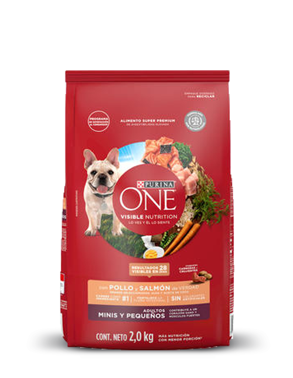 One Pollo ONE Adulto Mini y Pequeno Pollo y Salmon 3,5kg – Mundo Mascotas ...